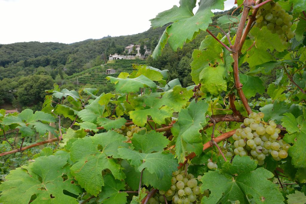 Agriturismo Crodi Miane Zewnętrze zdjęcie