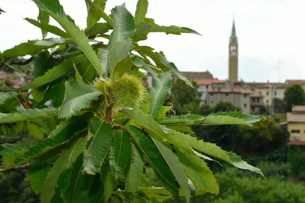 Agriturismo Crodi Miane Zewnętrze zdjęcie